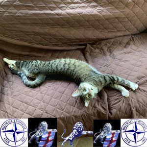 Meet your Posher, Robert